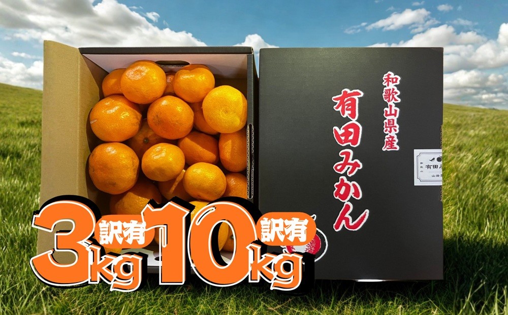 
                  【選べる内容量】【訳あり】有田みかん 約3～10kg 家庭用
                