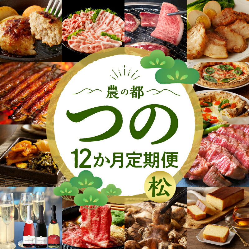 【ふるさと納税】10月1日〜寄附額改定 都農町の特産品詰め合わせ定期便！ 12か月 お楽しみ 定期便 都農町 定期便(松) 12回 牛肉 豚肉 鶏肉 うなぎ 蒲焼 鰻 ハンバーグ 漬物 お菓子 ヒレ ステーキ ピザ しゃぶしゃぶ 唐揚げ ワイン すき焼き お酒 国産 人気 宮崎県 送料無料