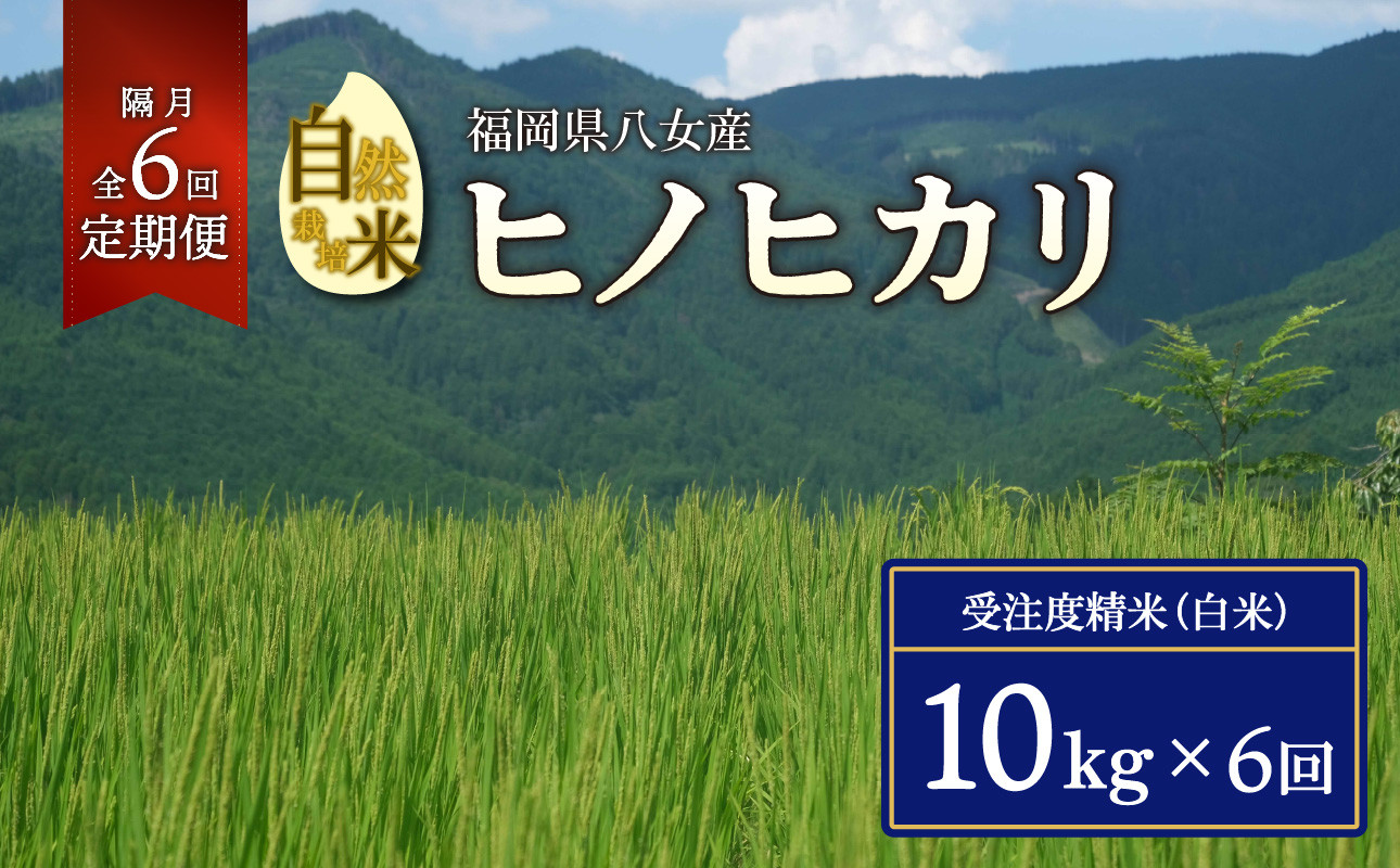 
【2024年11月発送開始】＜令和6年度新米＞【定期便 隔月6回】自然栽培米ヒノヒカリ１０kg
