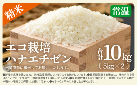 【先行予約】【令和8年産 新米】 エコ栽培ハナエチゼン 精米10kg （5kg×2袋） ／ 鮮度抜群 福井県産 はなえちぜん ご飯 新鮮 白米 ※2026年9月上旬以降順次発送予定 [aw063-b0