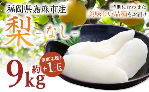 【家庭応援】 梨 9.0kg+1玉 【2025年8月上旬-12月上旬発送予定】 ナシ フルーツ くだもの 福岡県 嘉麻市