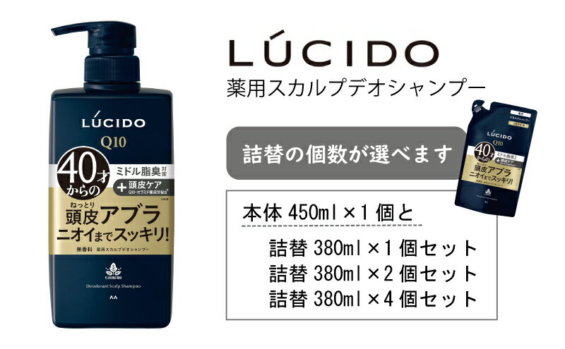 【ふるさと納税】 マンダム ルシード 薬用 スカルプ デオ シャンプー MA-18 MA-19 [ LUCIDO 頭皮ケア 臭いケア 男性化粧品 おしゃれ 日用品 ]　美容・薬用スカルプデオシャンプー・シャンプー・ヘアケア・薬用シャンプー・詰め替え用・ニオイケア お風呂