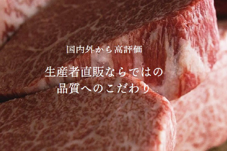 【年末大感謝祭！】 宮崎牛おためし焼肉　500ｇ×２Ｐ（国産 牛肉 宮崎牛 お肉 モモ ウデ すき焼き 焼肉 特別提供）