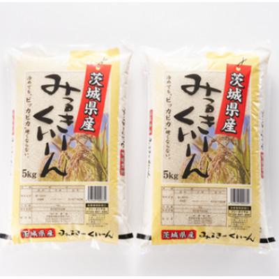 ふるさと納税 稲敷市 【毎月定期便】茨城県稲敷市産ミルキークイーン10kg(5kg×2) 全3回 |  | 01