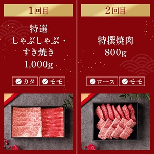 牛肉 神戸牛 定期便 エコノミー 4回 牛肉