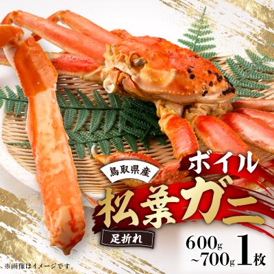 ふるさと納税 智頭町 鳥取県産　厳選!ボイル足折松葉ガニ中1枚(600〜700gサイズ)