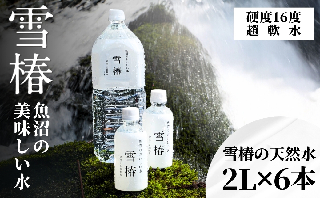 雪椿の天然水 2L×6本　硬度16度超軟水