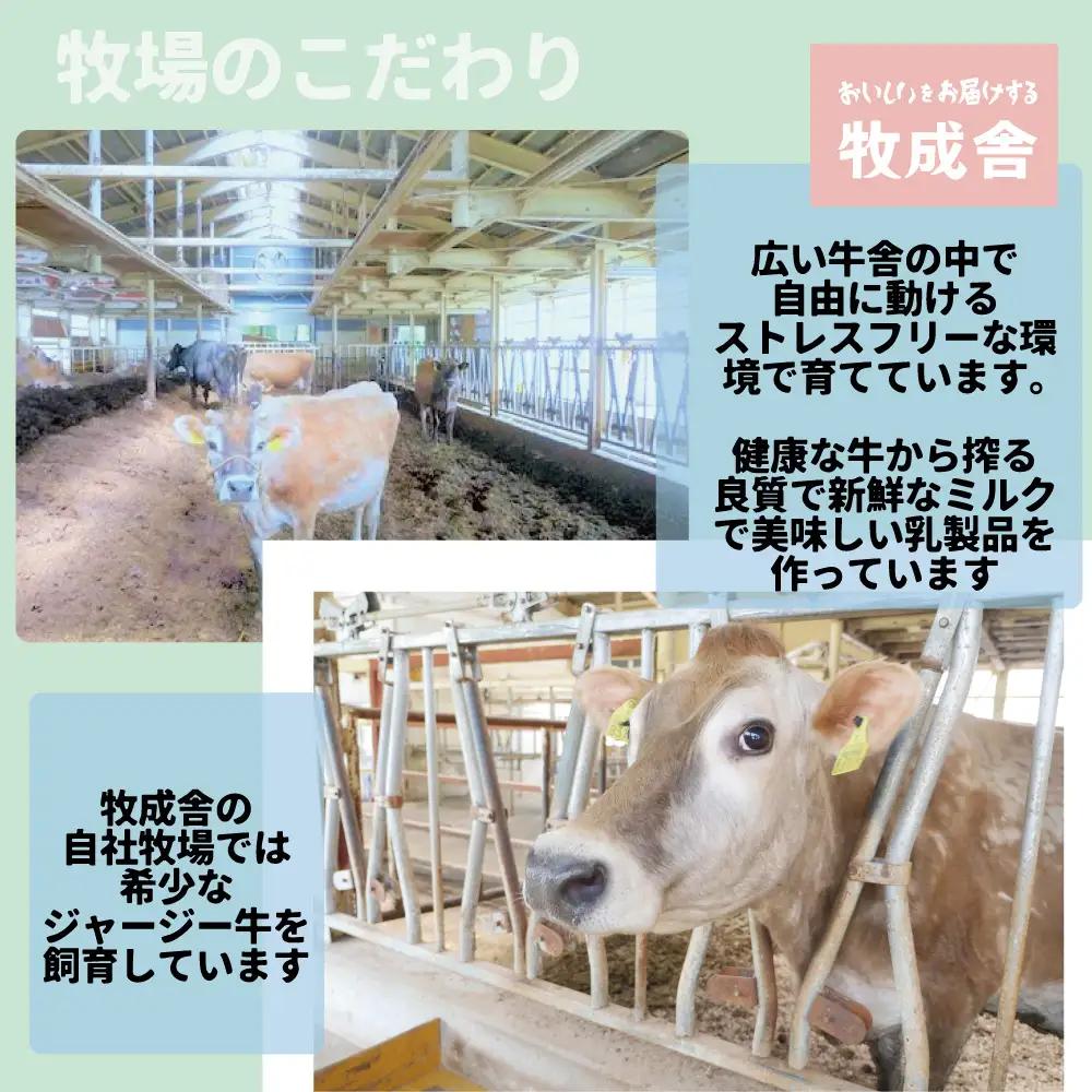 【毎週定期便 牛乳 3本×4回】 毎週 回数選べる 1ヶ月 飛騨産生乳100％ 牧成舎 美味しい低温殺菌牛乳 乳製品 飛騨 お楽しみ