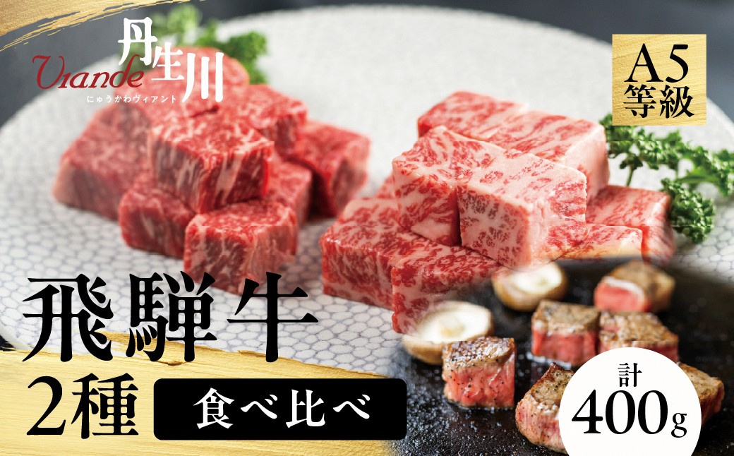 
                  2種食べ比べ！飛騨牛 A5等級 サイコロステーキ サーロイン 200ｇ 赤身 もも 200ｇ | 牛肉 飛騨牛 ブランド牛 国産 赤身 ステーキ サーロイン 丹生川精肉 JJ017
                