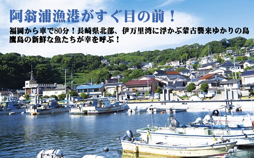 【長崎県松浦市ペア宿泊券】獲れたてで鮮度抜群の海の幸が堪能できる　旅亭 吉乃やの1泊2食付き宿泊券(トラフグづくしプラン)【K00-006】 宿泊券 トラベル 旅行 チケット クーポン 1泊2食 とら