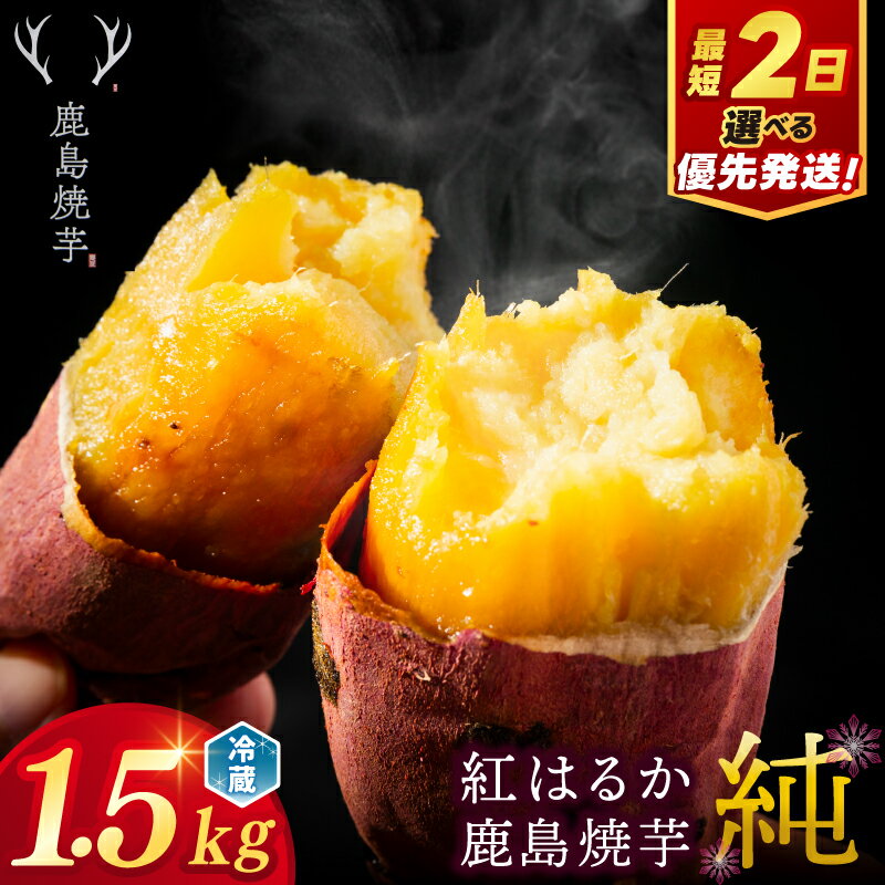 【ふるさと納税】【人気返礼品】鹿島焼芋 純 1.5kg 選べる 通常発送 優先発送【冷蔵 ひやし 焼き芋 やきいも さつまいも 芋 お菓子 おやつ デザート スイーツ 和菓子 和スイーツ 鹿嶋市 茨城県】