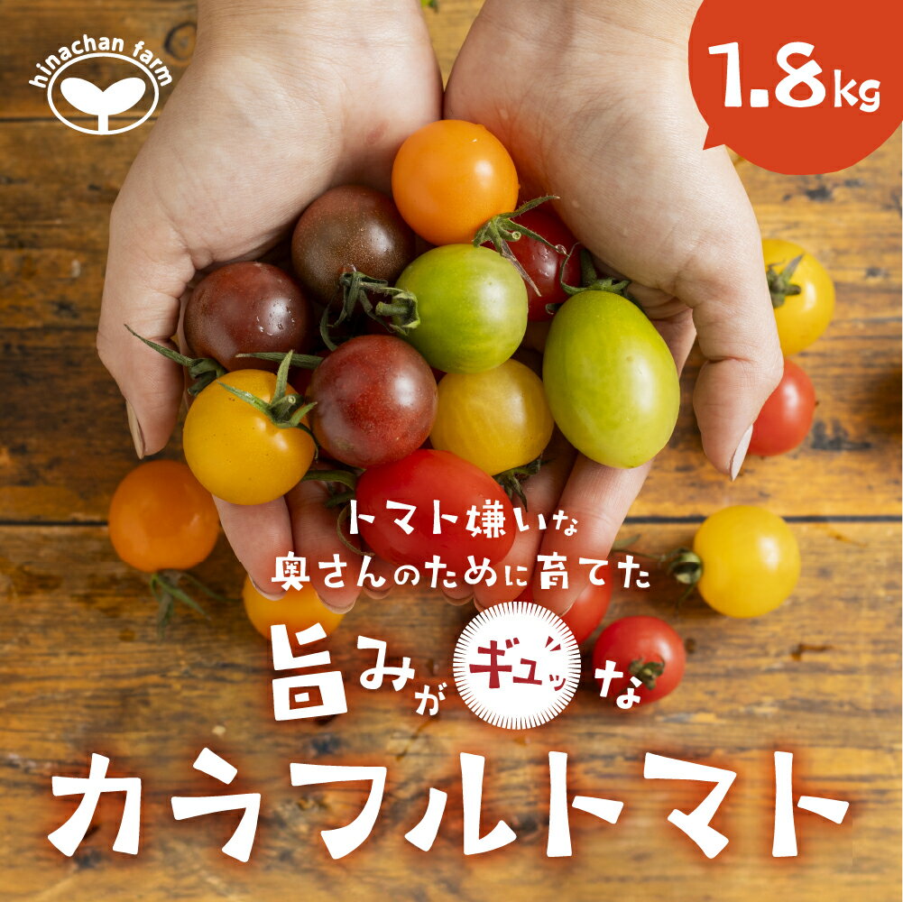【ふるさと納税】≪先行予約≫ 旨み詰め込み カラフルトマト 1.8kg 先行予約受付 期間限定 季節限定 野菜 国産 完熟 やさい フルーツ トマト 完熟 ミニトマト プチ お弁当 贈り物 おやつ サラダ 送料無料 産地直送