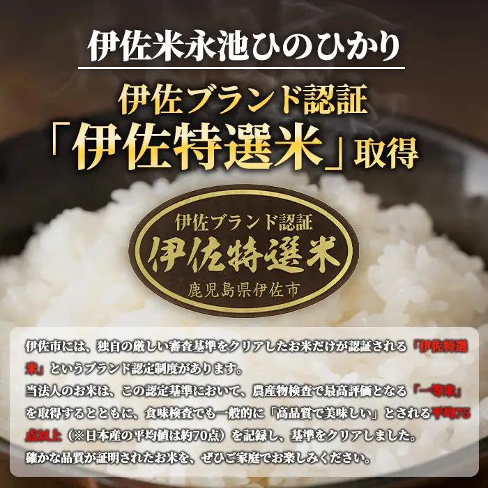 Z5-10 ＜14営業日以内に発送！＞《数量限定》令和7年産 特別栽培米 伊佐米永池ひのひかり(3kg) 伊佐市 永池 特産品 伊佐米 九州米サミット 食味コンテスト 最優秀賞受賞 ヒノヒカリ 3kg