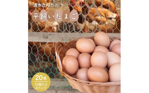 清水さんちの 平飼いたまご 20個 平飼い卵 平飼い玉子 自然卵 たまご 玉子 自然 平飼い 八街 千葉県