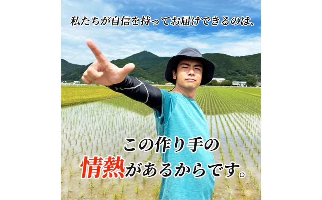 ＜選べる白米・玄米＞【令和7年産】 森のくまさん 白米27kg または 玄米30kg 【2025年11月上旬より順次発送開始】