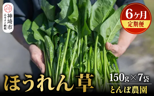 
【定期便6回】ほうれん草 約1kg（150g x 7袋）【合計 約6kg】(H091120)
