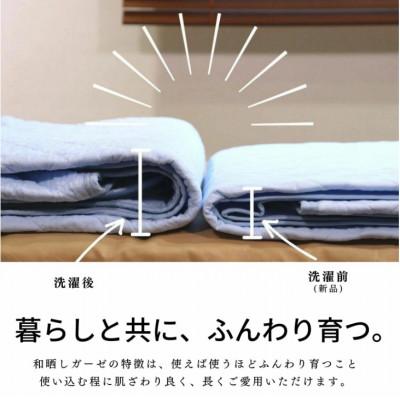 ふるさと納税 蒲郡市 三河産　綿100%和晒し脱脂綿　敷パット　Dサイズ_みずいろ_【G0498】 |  | 02