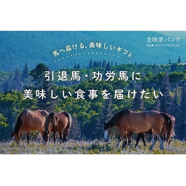 NO562-R8 生牧草バンクで使えるクーポン / 中央牧草センター / 生牧草バンク 牧草バンク クラウドギフティング 馬 生牧草 牧草 引退馬 功労馬 元競走馬 牧場 支援 ギフト（202610～）
