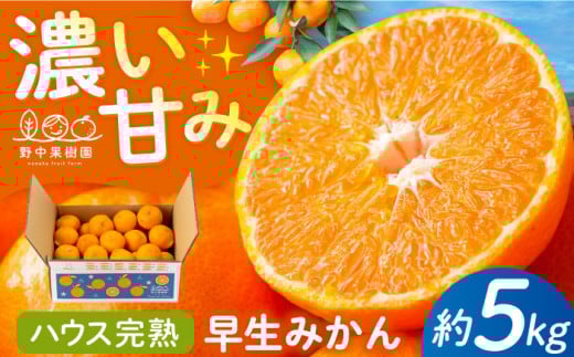 ハウス 完熟 早生 みかん 約5キロ箱【先行予約/1月お届け】 長崎県/野中果樹園 [42AAAP001] 長崎県産 みかん かんきつ 柑橘 フルーツ 果物 旬 ミカン オレンジ 贈答 ギフト 贈り物 お取り寄せ プレゼント