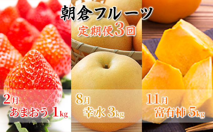 定期便 フルーツ 3回 お届け 数量限定 いちご 梨 柿 朝倉 フ
