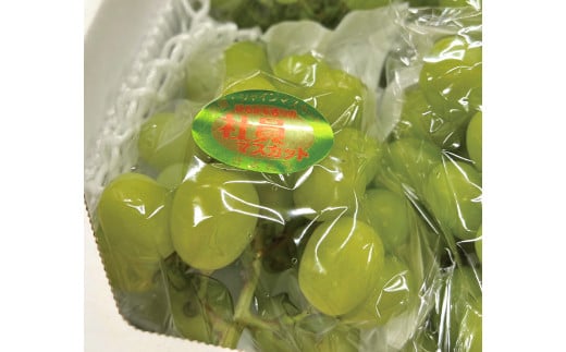 【2026年先行予約】訳ありだけど、甘～いシャインマスカット/約2kg (岡山県産) 【KF-B020-03】