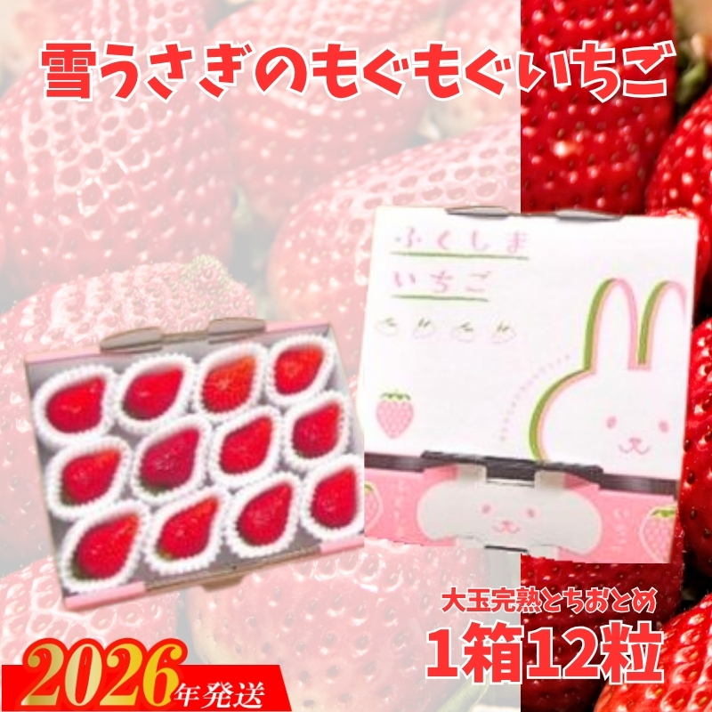 No.2477福島市産いちご【大粒完熟とちおとめ 】雪うさぎのもぐもぐいちご 1箱12個入り（約400g）【2026年１月下旬より発送】