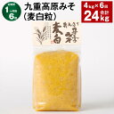 【ふるさと納税】【定期便】【1ヶ月毎6回】九重高原みそ（麦白粒） 1kg×4袋 計24kg（4kg×6回） 麦みそ 味噌 白色系 大麦 大豆 調味料 大分県産 九州 国産 大分県 九重町 送料無料