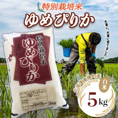 ふるさと納税 南幌町 北海道産 特別栽培米 ゆめぴりか 白米 5kg 南幌町 空知 北海道米 今摺り米