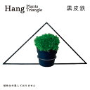 【ふるさと納税】GRAVIRoN Hang Plants シリーズ プランツハンガー Triangle (黒皮鉄) ハンギングプランツ プランター ハンギング エアプランツ 吊るす 植物ホルダー 観葉植物 インテリア 金属製 おしゃれ モダン 日本製 送料無料