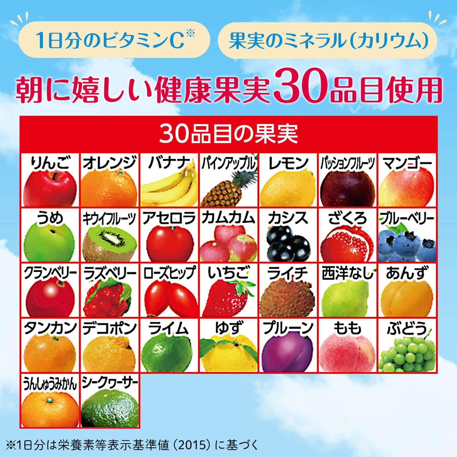 【 定期便 9ヶ月連続お届け】カゴメ 朝のフルーツこれ一本 200ml×48本 果実ミックス飲料 30種の果実 1日分のビタミンC 1日分の果実 添加物不使用 砂糖不使用 食物繊維 植物性乳酸菌 果実