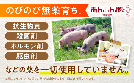 【3回定期便】豚肉大満喫コース 計2.76kg 藤井ファーム[AWAF072]豚肉セット