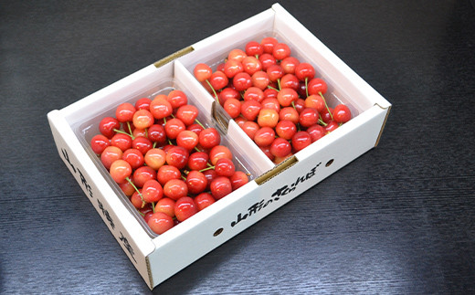 【2027年産 先行予約】山形県産さくらんぼ 佐藤錦 秀品 L玉 1kg (500g×2パック) ギフト箱入り FSY-2199