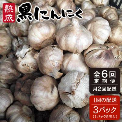 ふるさと納税 糸島市 【全6回(月2回) 定期便】 熟成 黒 にんにく 3パック 《糸島》【シーブ】[AHC002]