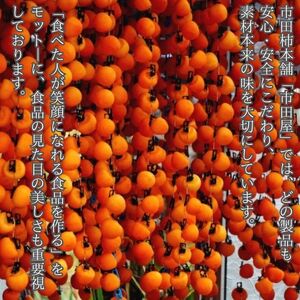 市田柿 柿チップ（100g×6袋）ひとくちサイズ