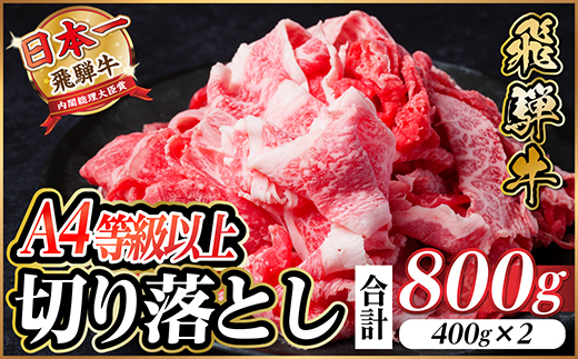 飛騨牛　厳選切り落とし　800g　A4～A5等級　黒毛和牛　小分け【配送不可地域：離島】