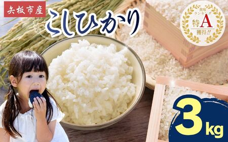 【2026年先行予約】ごはんが主役！矢板市産こしひかり 白米 3kg お米 栃木県 矢板市