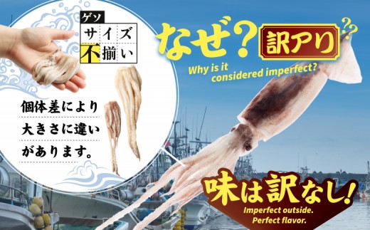 イカゲソ3kg　隔月3ヶ月定期便
