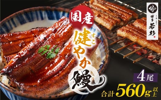 U61-138 健やか鰻 国産うなぎ蒲焼（無頭）4尾（計560g以上） 九州産 国産鰻 うなぎ ウナギ 鰻 人気 おすすめ ひつまぶし 鰻 蒲焼き タレ 山椒 ランキング 鰻 冷凍 うな重 ひつまぶし うなぎ 福智町 鰻蒲焼き うな丼 丑の日
