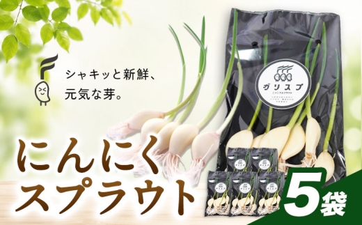 にんにくスプラウト  5袋 株式会社ANELA GROW 《30日以内に出荷予定(土日祝除く)》千葉県 我孫子市 にんにく 水耕栽培  ギフト 送料無料