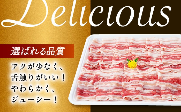 肉 豚 ぶた ブタ ロース 焼肉 焼き肉 しゃぶしゃぶ 小分け 西海市 長崎 九州 定期便