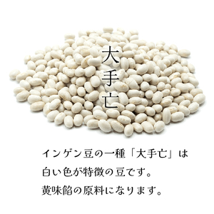 【スピード発送】 りんごかもめの玉子 9個 和菓子