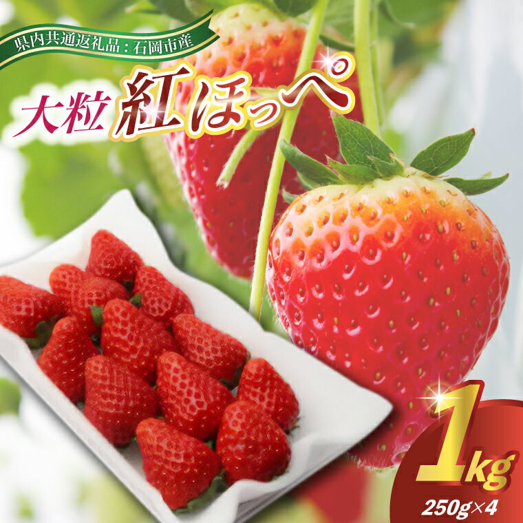 【ふるさと納税】2025年12月より順次発送　紅ほっぺ大粒250g(8〜12粒)×4pc(県内共通返礼品:石岡市産)【配送不可地域：離島・沖縄県】 (BR031)