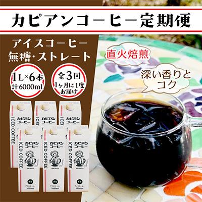 ふるさと納税 ひたちなか市 【毎月定期便】カピアンオリジナルアイスコーヒー1L×6本(計6000ml)全3回