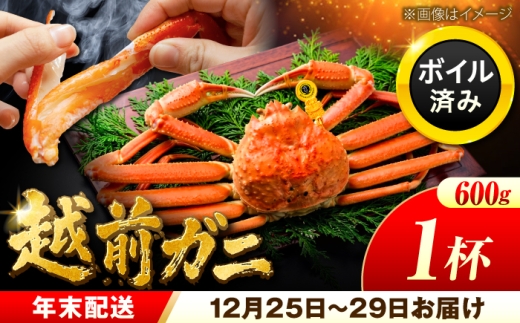 【先行予約/12月25日より順次発送】【年末希望】 越前がに 600ｇ×1杯 ズワイガニ ずわいがに ボイル 冷蔵 小浜市 / まるほ商店 【配送不可地域：北海道・沖縄・離島】[BFCS033]