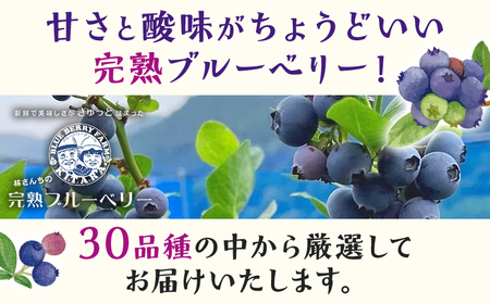林さんちの完熟ブルーベリー 約100g×4パック 100g ブルーベリー フルーツ 果物 甘い ギフト 贈り物 厳選 オニール トワイライト ユーリカ