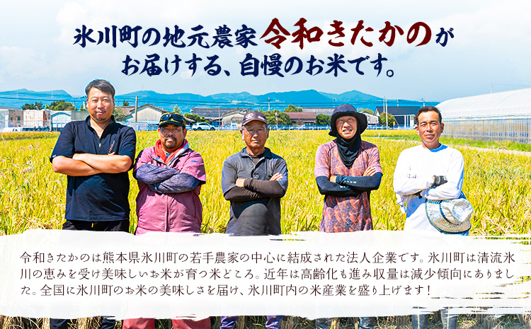 令和7年産 新米 無洗米 清流きたかの米 10kg(5kg×2袋) 《1月出荷予定》熊本県産 無洗米 白米 精米 氷川町 送料無料コメ 便利 ブランド米 お米 おこめ 熊本 SDGs