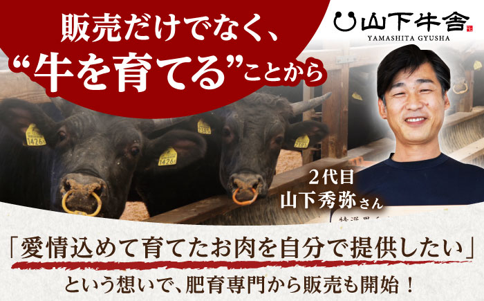 【全6回定期便】佐賀牛 切り落とし 500g （250g×2パック）【山下牛舎】 [HAD157]
