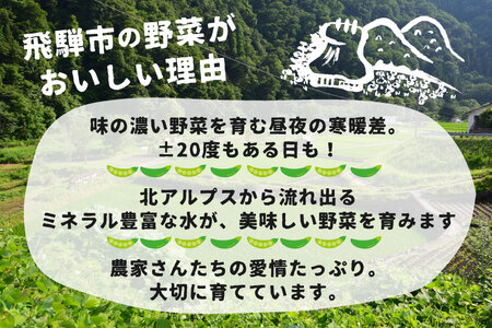 《先行予約》＼シャキシャキ プリプリ／ 採れたて スナップエンドウ 1.5kg 令和7年産 飛騨産 国産 スナップえんどう 旬 旬もの 産地直送 野菜 2025年産 【6月上旬～6月下旬発送】飛騨市 