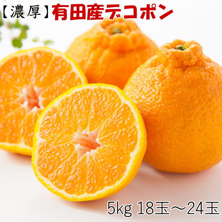 【ふるさと納税】【お味濃厚】紀州有田産のデコポン約5kg(18玉～24玉入り・青秀以上) ※2027年2月中旬～2027年3月中旬頃順次発送【tec810B】