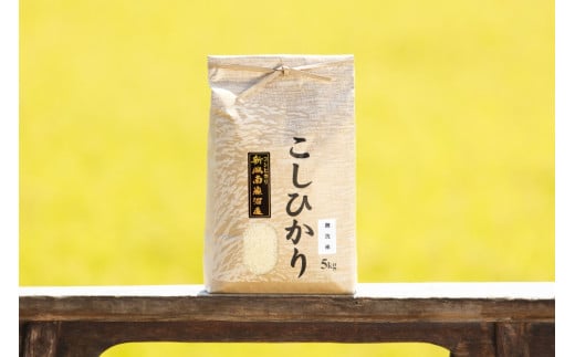 【頒布会】【令和7年産 新米予約】南魚沼産コシヒカリ（無洗米5kg×全3回）【令和7年11月上旬より順次発送予定】
